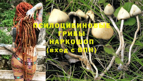 ALPHA PVP Навашино