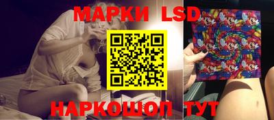 прущие грибы Ирбит