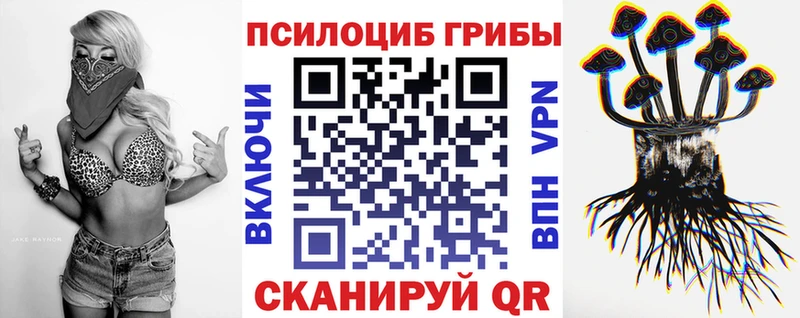 Псилоцибиновые грибы Cubensis  Югорск 