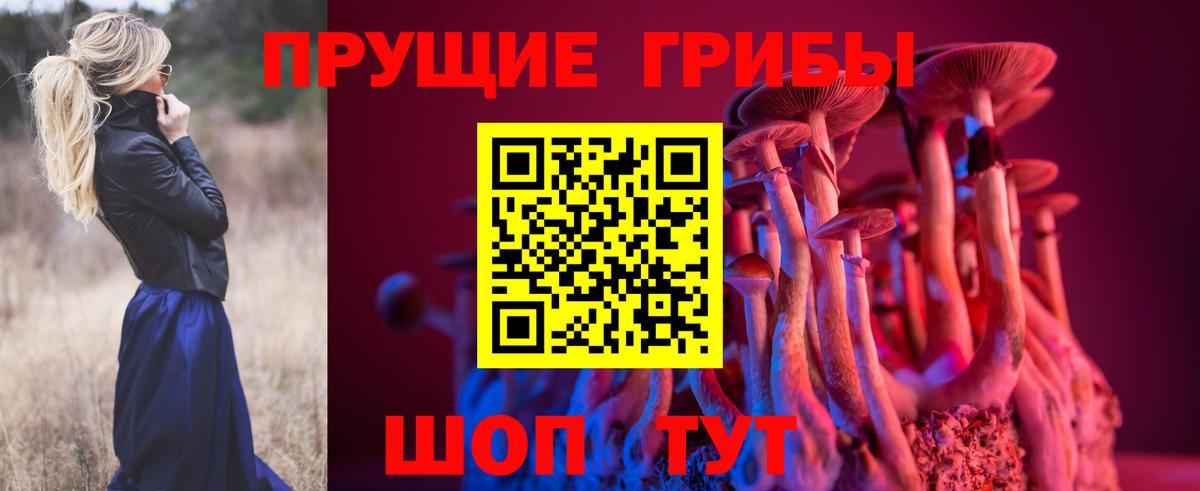 Псилоцибиновые грибы Psilocybine cubensis Югорск